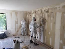 Best Mold Damage Restoration  in Bensville, MD